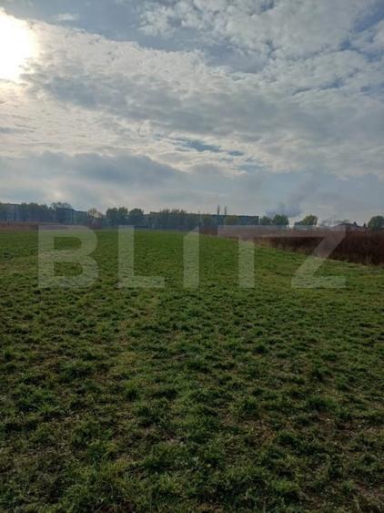 Teren agricol extravilan de 3800 mp, în Est
