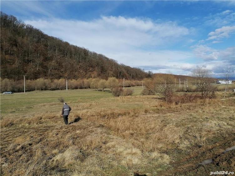 Teren de 3800 mp, în Crizbav