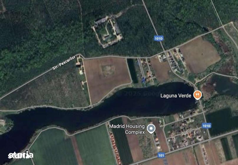 Teren de 5900 mp, în Moara Vlăsiei