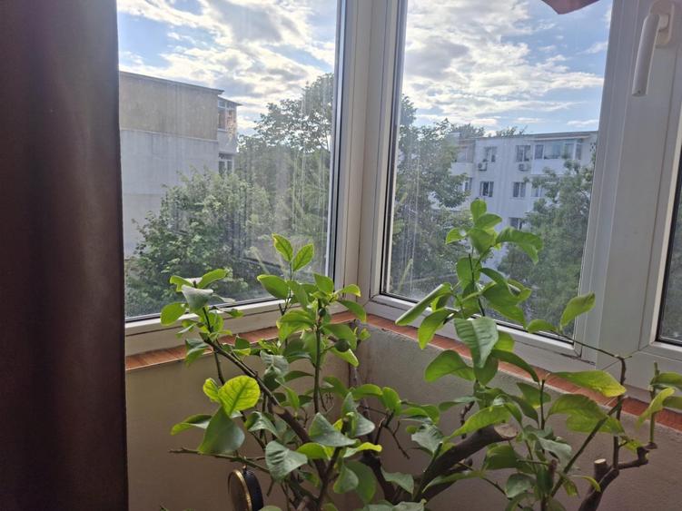Apartament cu 2 camere nedecomandat în Vest