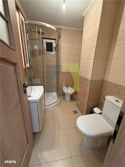 Apartament de inchiriere modern mobilat si utilat situat ultracentral - 9