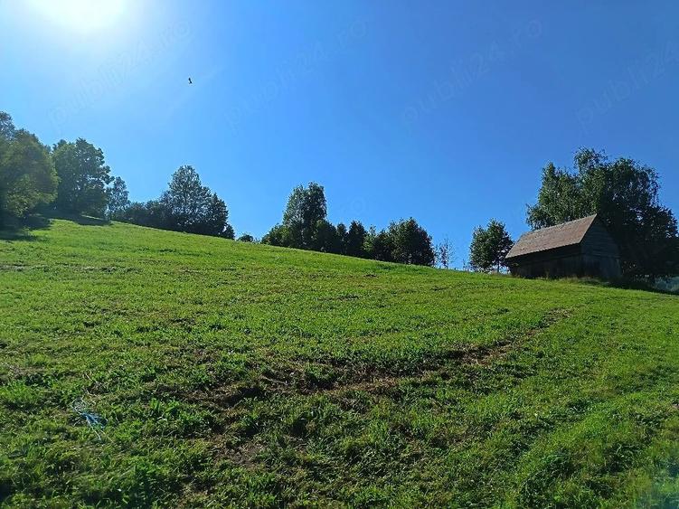 Teren de 8000 mp, în Bran