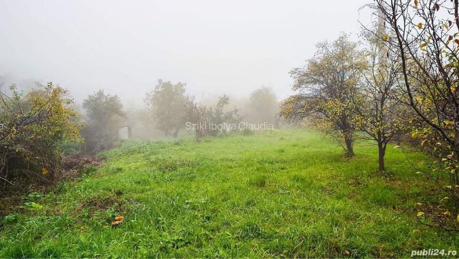 De vanzare teren intravilan 1319 mp Podgoria
