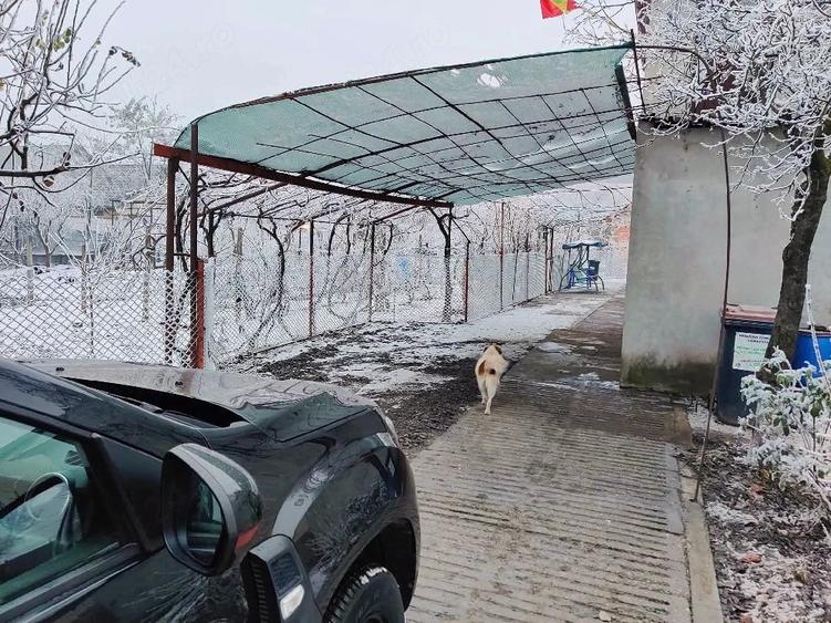 Casă cu Teren 800 Mp în Costi