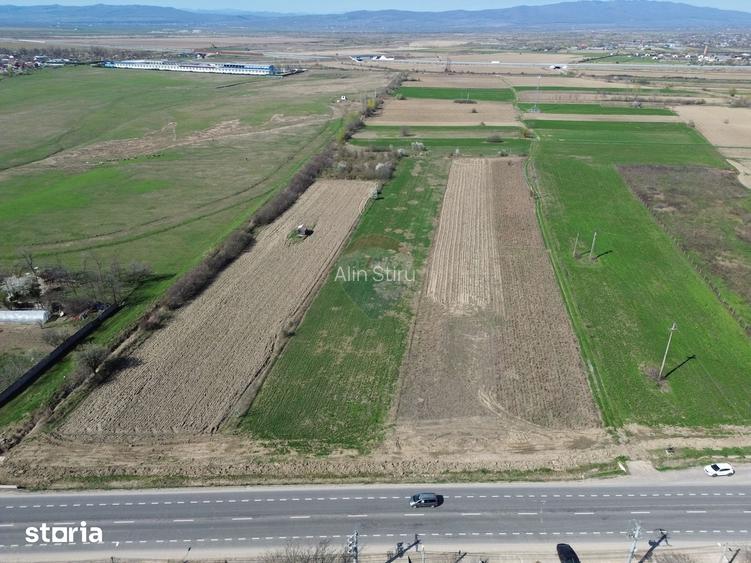 Teren 9,431mp Bizighesti / DJ 205E