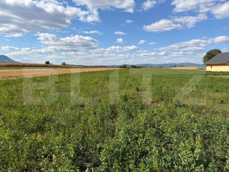 Teren Construcții intravilan de 3300 mp, în Stupini