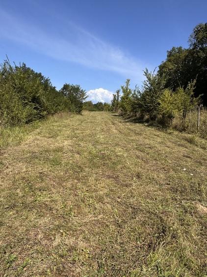 Teren de 2760 mp, în Loloiasca