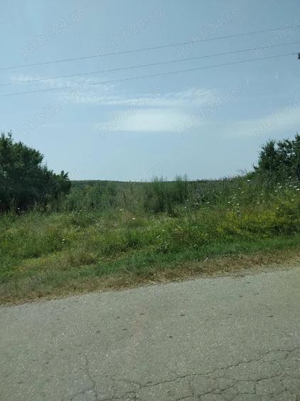 Teren de 40000 mp, în Murani