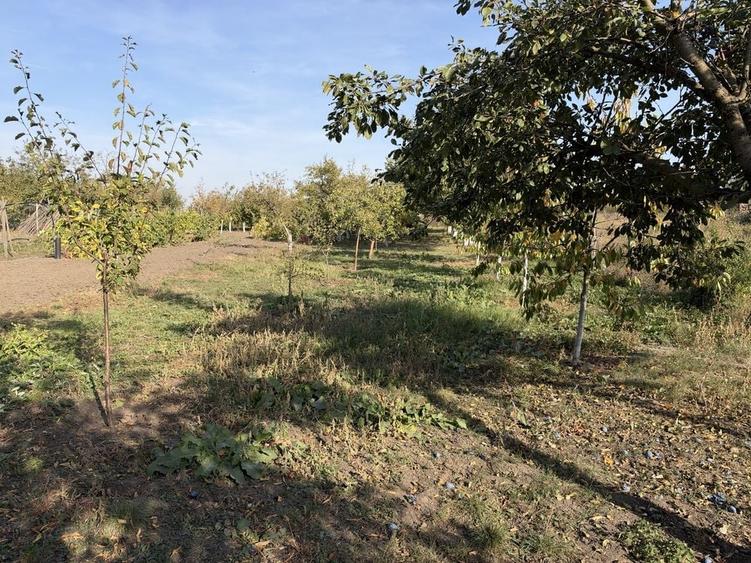 Casă cu 4 camere în Valea Bujorului
