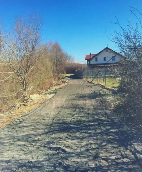 Teren Construcții intravilan de 4900 mp, în Nord-Vest