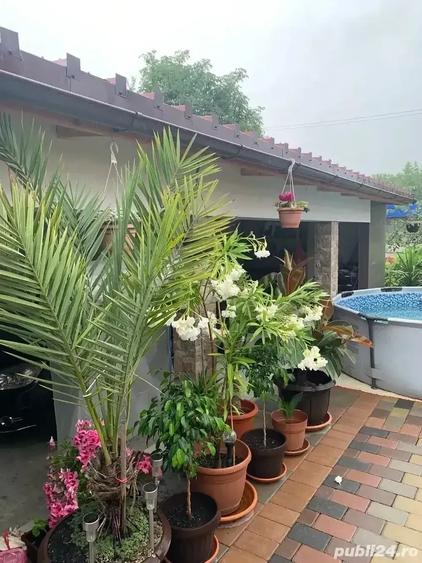 Casă cu 4 camere cu Teren 200 Mp în Gherla