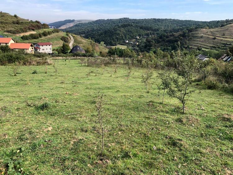 Teren Construcții intravilan de 5100 mp, în Tăuți