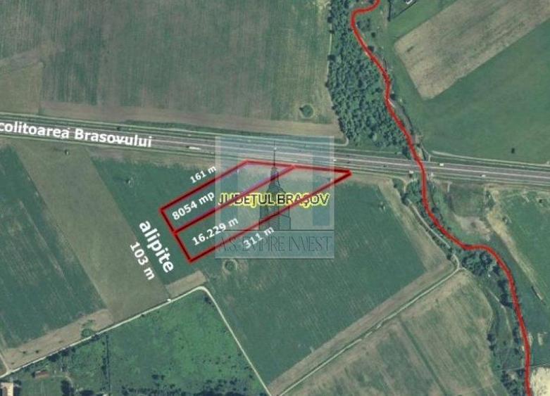 Teren Construcții intravilan de 24283 mp, în Rulmentul