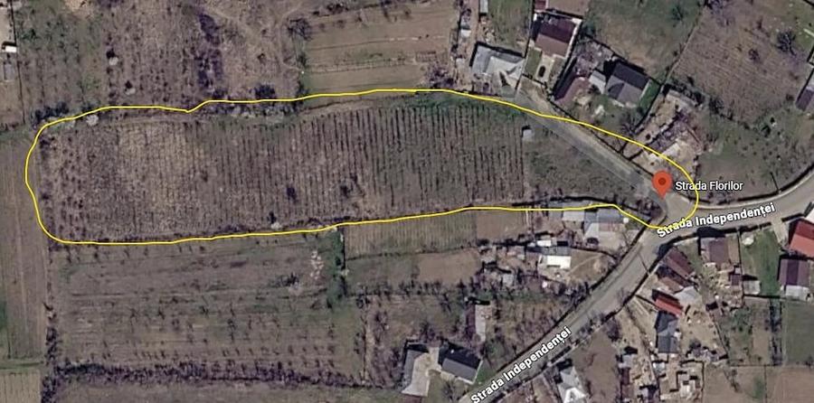 Teren mixt (intravilan+extravilan agricol, vita de vie) Cotesti Vrancea 15EUR mp - 2