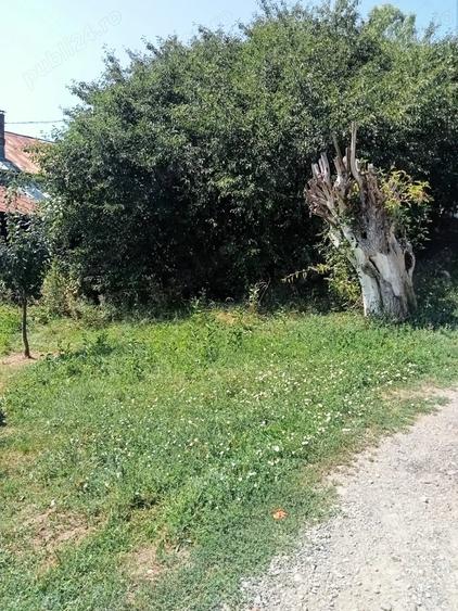 Teren de 913 mp, în Podu Vadului