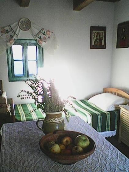 Casă individuală cu 4 camere cu Teren 2450 Mp în Luncoiu de Sus