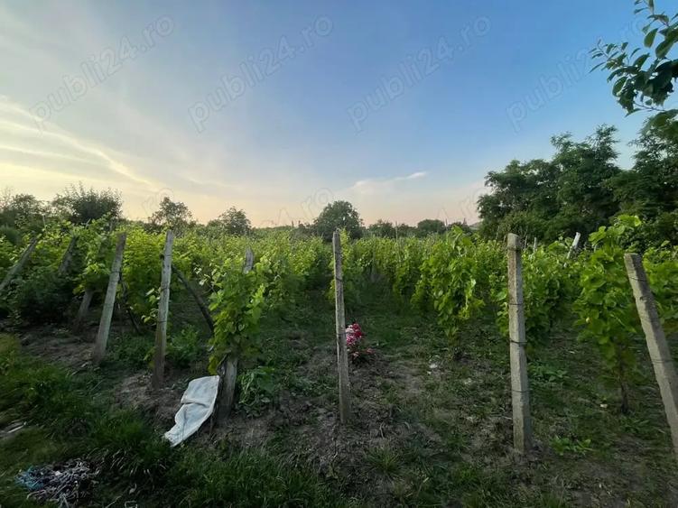 Casă cu 3 camere în Scobinți