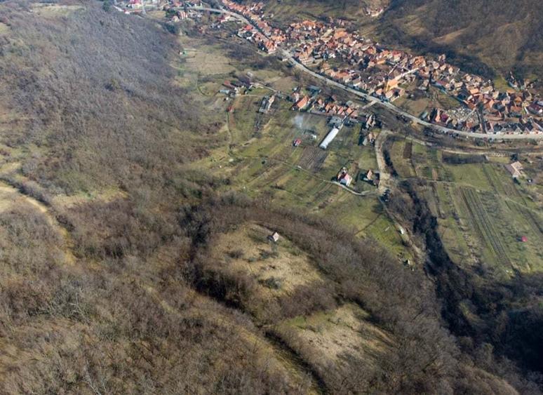 Teren de 8900 mp, în Laz (Săsciori)
