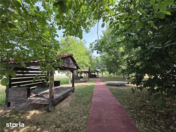 Casă cu Teren 2766 Mp în Sânmartin