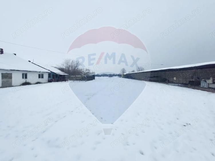 Casă cu 5 camere cu Teren 7531 Mp în Sacu