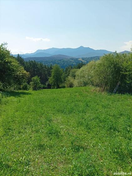 Teren de 1170 mp, în Ruginești