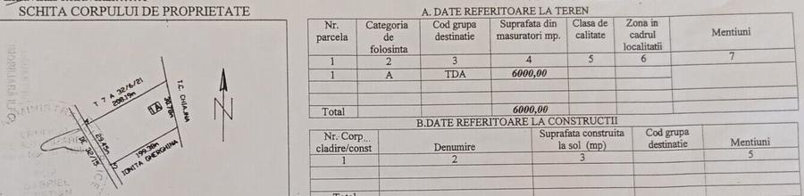 Teren Construcții intravilan de 6000 mp, în Domnești