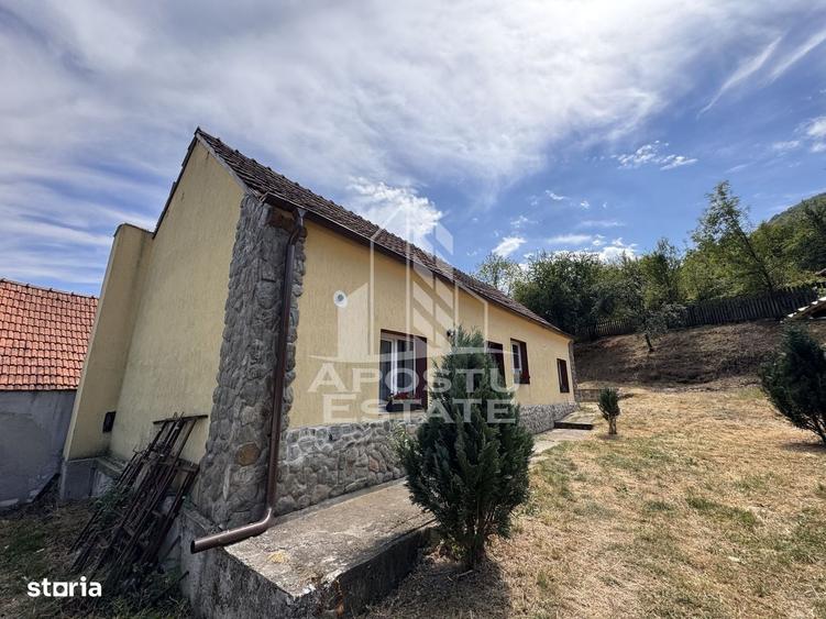 Casă cu 4 camere în Dăbâca
