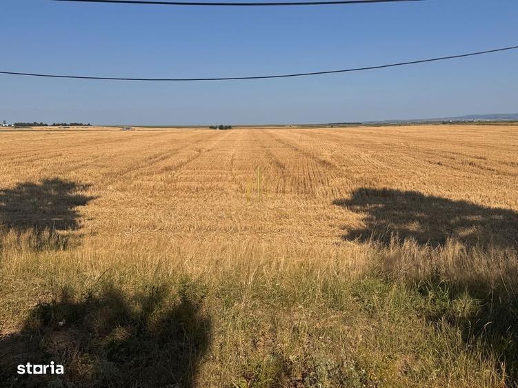 Teren de vanzare 10.200 mp, PlopeniSalcea, zona Aeroportului Suceava - 3