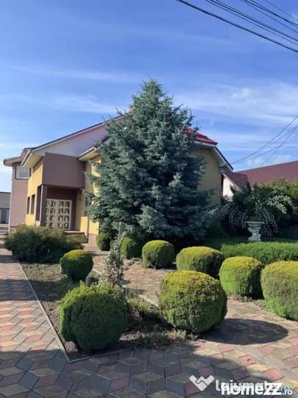 Casă cu 7 camere cu Teren 2500 Mp în Siret