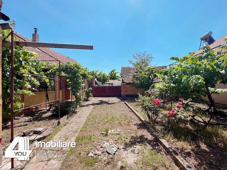 Casă cu 4 camere cu Teren 1459 Mp în Secusigiu