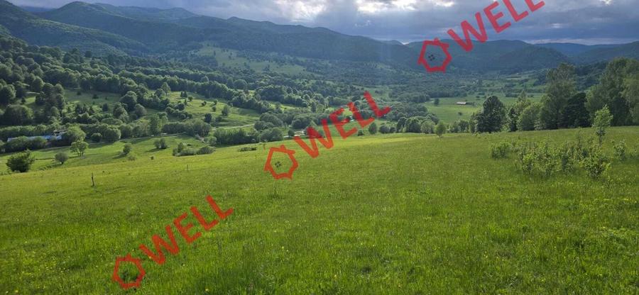Teren agricol extravilan de 7940 mp, în Vama Buzăului