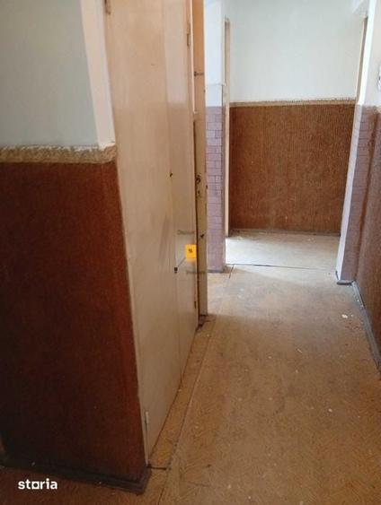 Apartament 3 camere zona Malu Rosu - 4
