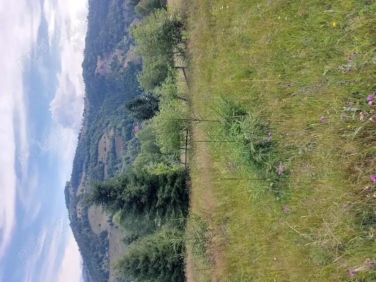 Teren de 5000 mp, în Vadu Moților