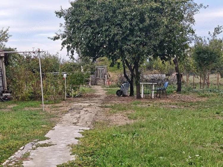 Casă cu Teren 2000 Mp în Hințești
