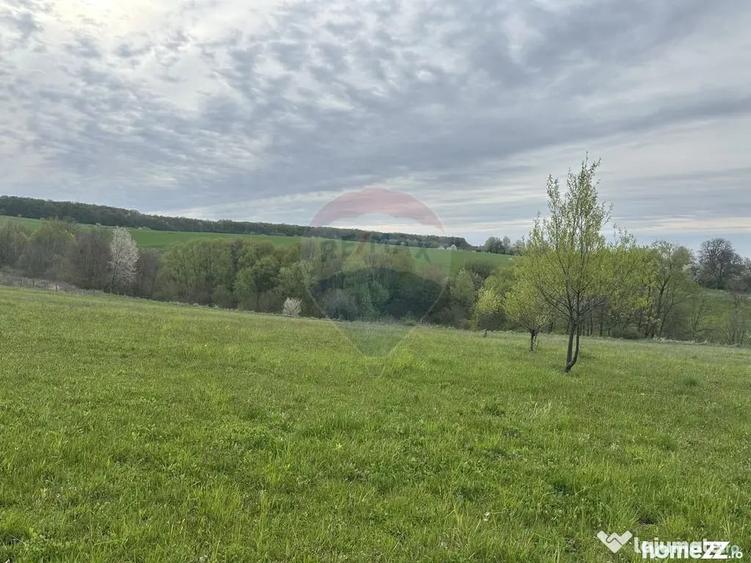 Teren în Oșlobeni
