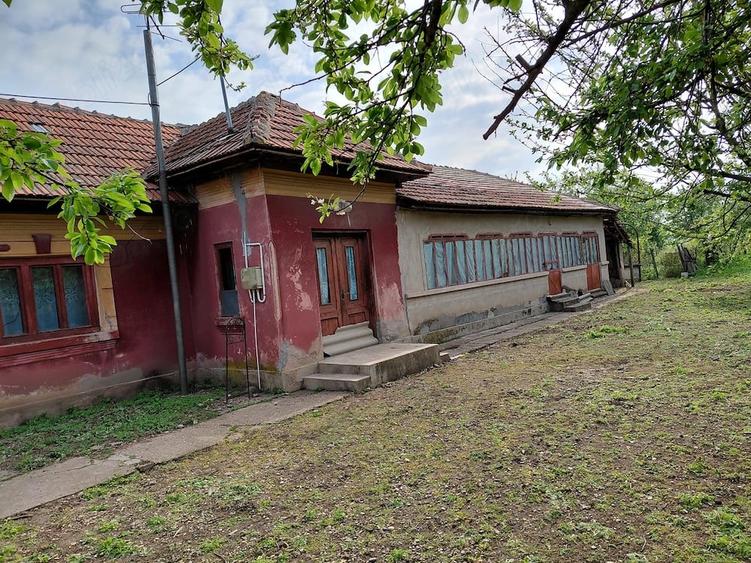 Casă cu 5 camere cu Teren 4800 Mp în Galicea Mare