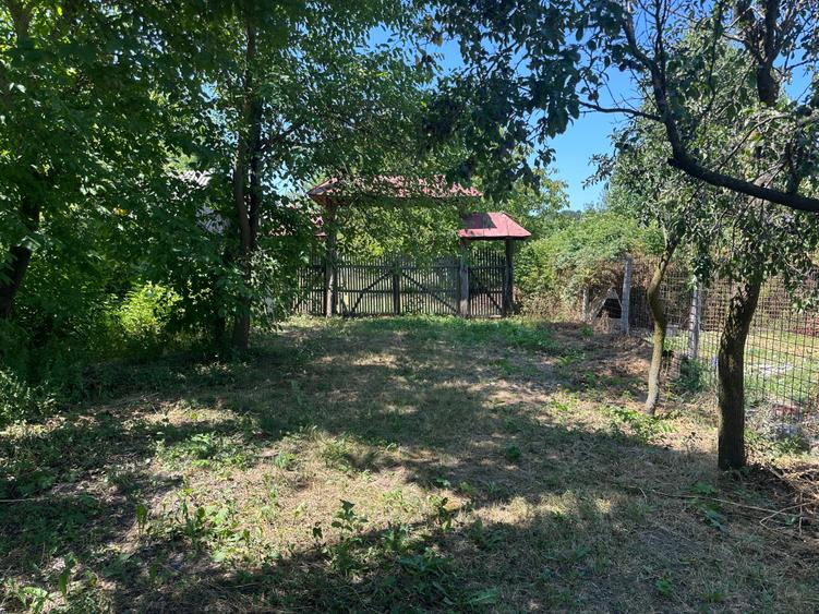 Teren Construcții intravilan de 3862 mp, în Albota