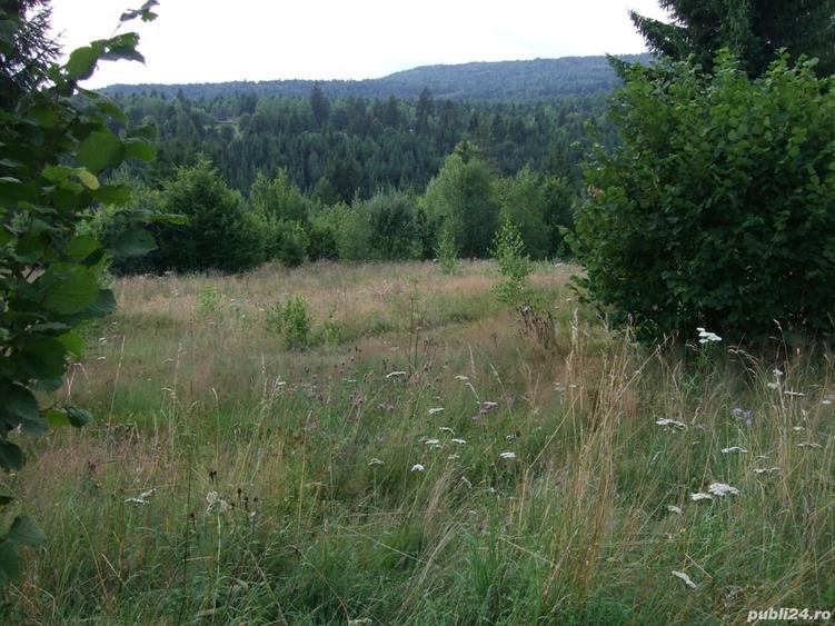 Teren de 34500 mp, în Băile Chirui