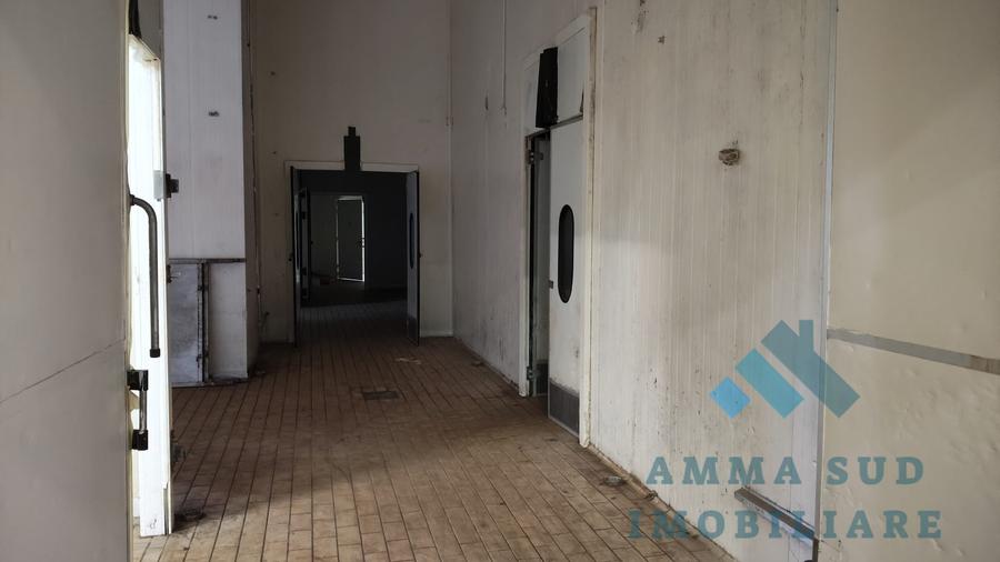 Spațiu industrial, de 1,000 mp, în Popești-Leordeni