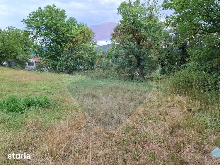 Teren de 990 mp, în Bârzava