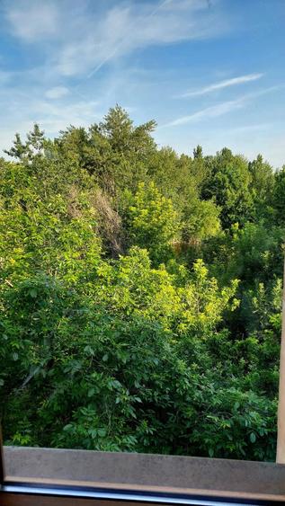 Garsonieră decomandată în Colentina