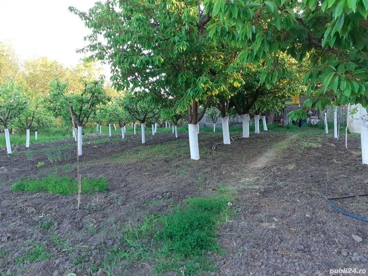 Casă cu 4 camere cu Teren 10000 Mp în Munteni