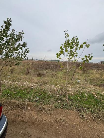 Teren Construcții intravilan de 6000 mp, în Theodor Pallady