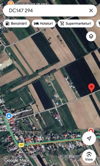 Teren Construcții intravilan de 10000 mp, în Ulmi