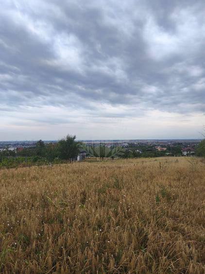 Teren Construcții intravilan de 10000 mp, în Păulești