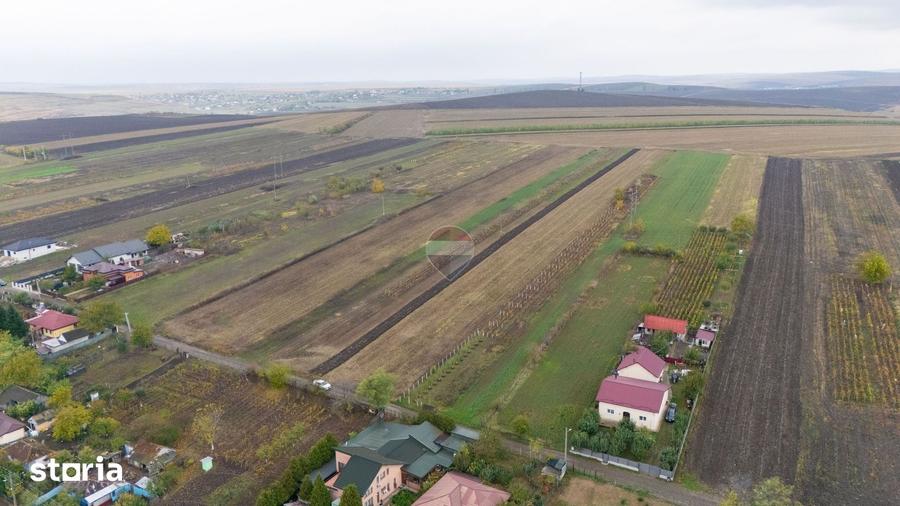 Teren de 7200 mp, în Lețcani