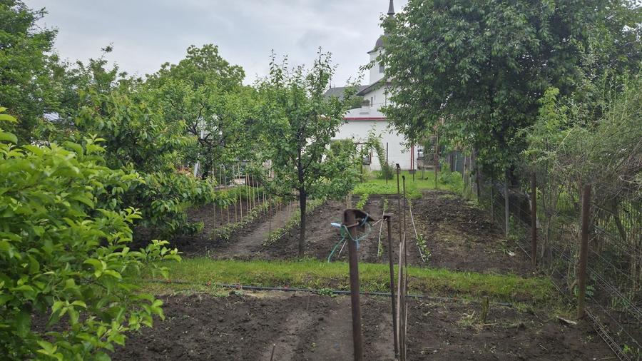 Casă cu 3 camere în Central