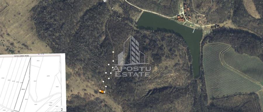 Teren agricol extravilan de 5400 mp, în Cuied