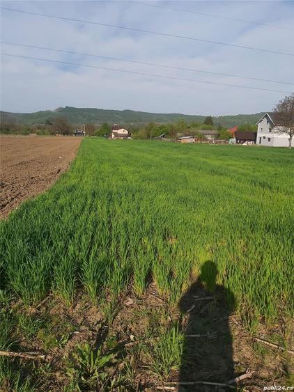 Teren de 2450 mp, în Băiculești
