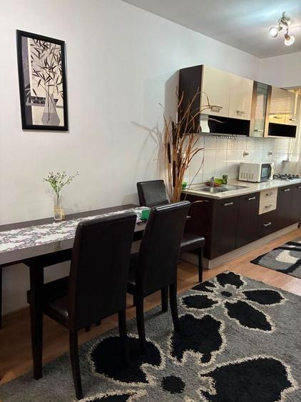 Apartament de inchiriat zona Nufarul 1500 lei - 4